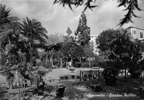 Cartolina - Postcard - Caltanissetta - giardini pubblici - 1958 …