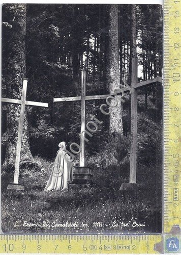 Cartolina - Postcard - Camaldoli - L'Eremita - Tre Croci …