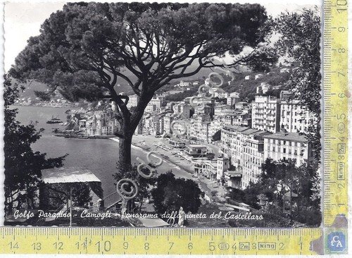 Cartolina - Postcard - Camogli - Panorama dalla pineta del …