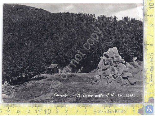 Cartolina - Postcard - Campigna - Il Passo della Calla … | Immagine principale