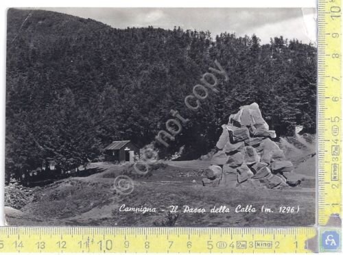Cartolina - Postcard - Campigna - Il Passo della Calla …