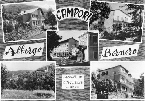 Cartolina - Postcard - Campori - Albergo Bernero - vedutine … | Immagine principale