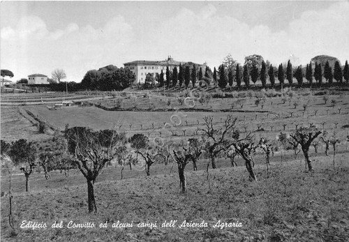 Cartolina - Postcard - Capezzine - Istituto Tecnico Agrario Statale …