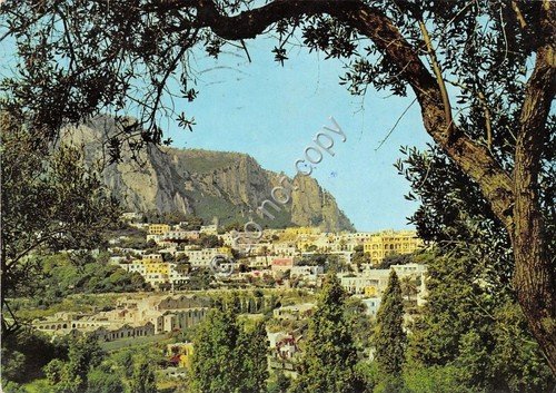 Cartolina - Postcard - Capri - Panorama - 1963