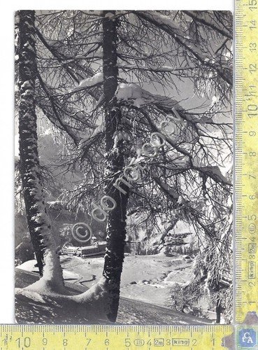 Cartolina - Postcard - Casa alpina di Motta - Timbro … | Immagine principale