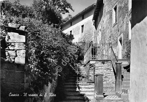 Cartolina - Postcard - Cascia - Il Roseto di S. …