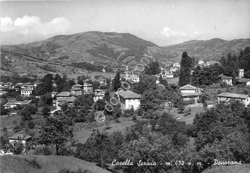 Cartolina - Postcard - Casella Scrivia - Panorama - 1964