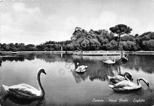 Cartolina - Postcard - Caserta - Parco Reale - Laghetto …