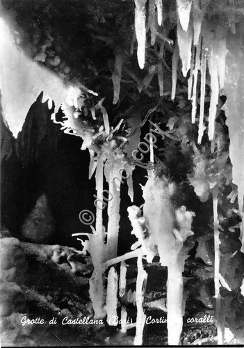 Cartolina - Postcard - Castellana - Grotte - coralli - …