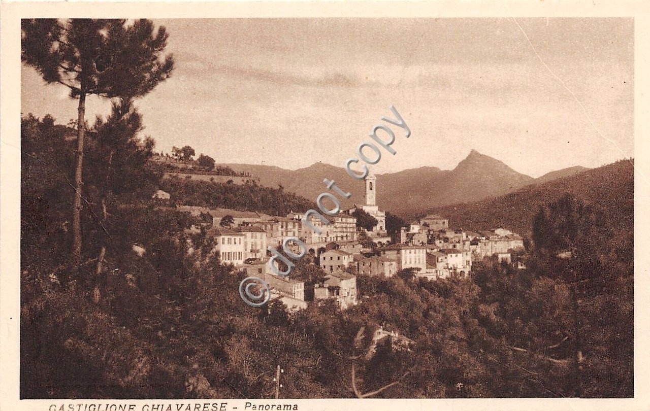 Cartolina - Postcard - Castiglione Chiavarese - Panorama - anni …