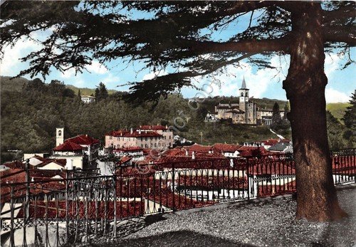 Cartolina - Postcard - Castiglione Olona - Panorama - 1962