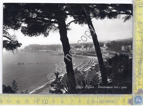 Cartolina - Postcard - Celle Ligure - Panorama - 1966 …