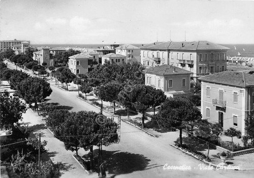 Cartolina - Postcard - Cesenatico - Viale Carducci - 1951 …