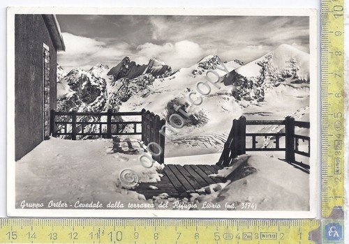Cartolina - Postcard - Cevedale - Rifugio Liurio - 1965 | Immagine principale