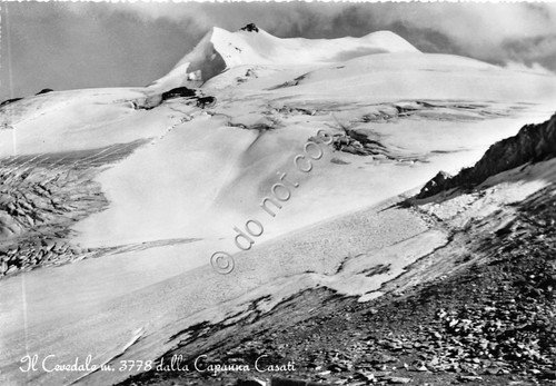 Cartolina - Postcard - Cevedale da Capanna Casati (Trento) | Immagine principale