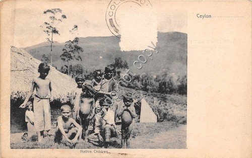 Cartolina - Postcard - Ceylon Native Children