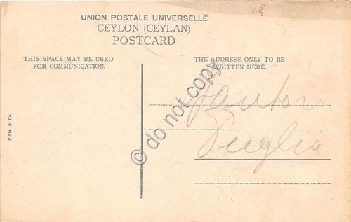 Cartolina - Postcard - Ceylon Native Children