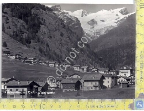 Cartolina - Postcard - Champoluc - Panorama - 1954