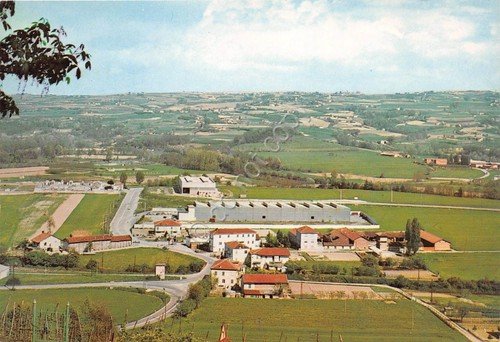Cartolina - Postcard - Cherasco - Frazione Moglia - Langhe … | Immagine principale