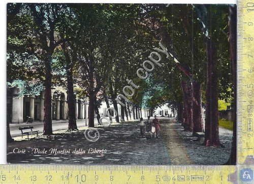 Cartolina - Postcard - Ciriè - Viale Martiri della Libertà … | Immagine principale