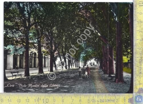 Cartolina - Postcard - Ciriè - Viale Martiri della Libertà …