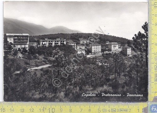 Cartolina - Postcard - Cogoleto - Pratozanino - panorama - …