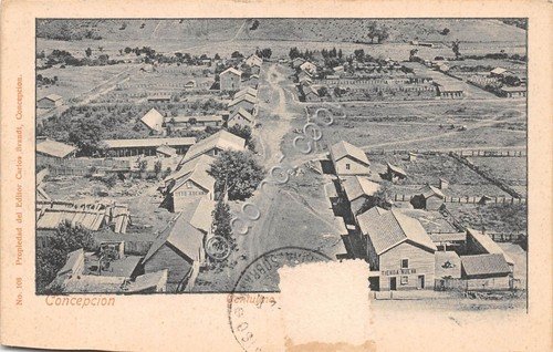 Cartolina - Postcard - Concepcion panorama Editore Carlos Brandt