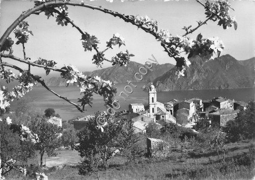 Cartolina - Postcard - Corsica - Ajaccio - Piana e …