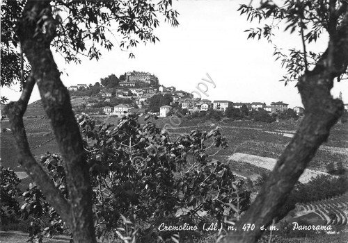 Cartolina - Postcard - Cremolino - Panorama - 1973 (Alessandria) | Immagine principale