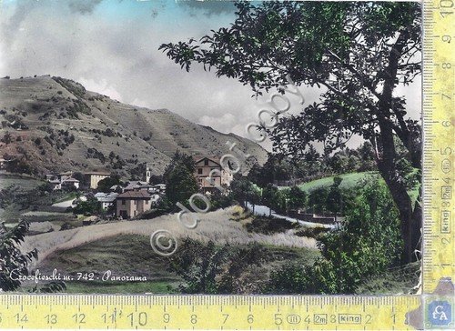 Cartolina - Postcard - Crocefieschi - Panorama - 1950