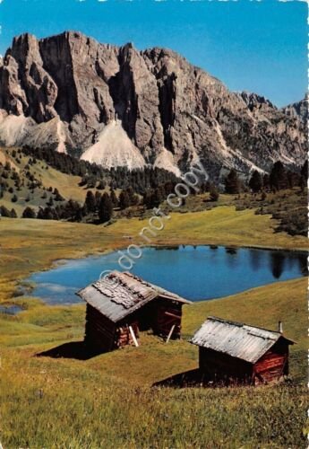 Cartolina - Postcard - Dolomiti - Val Gardena - Alpe …