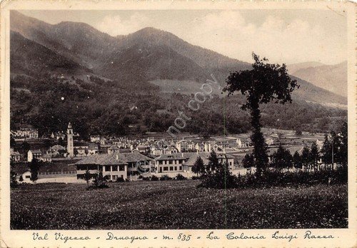 Cartolina - Postcard - Druogno - Colonia Luigi Razza - … | Immagine principale
