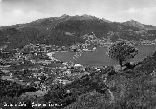 Cartolina - Postcard - Elba - Golfo di Procchio - …