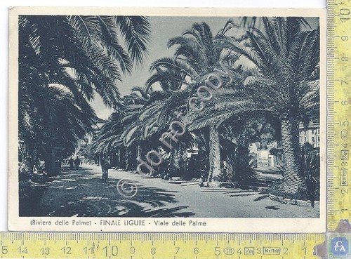 Cartolina - Postcard - Finale LIgure - Viale delle Palme … | Immagine principale