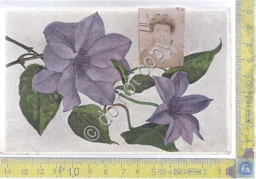 Cartolina - Postcard - Fiore della Passione - con foto …