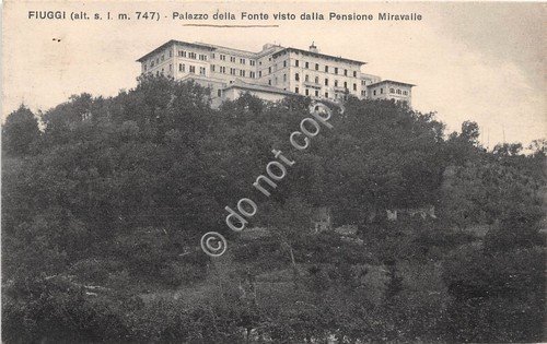 Cartolina - Postcard - Fiuggi Palazzo della Fonte visto da … | Immagine principale
