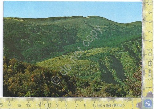 Cartolina - Postcard - Foresta di Campigna - Appennino Tosco …