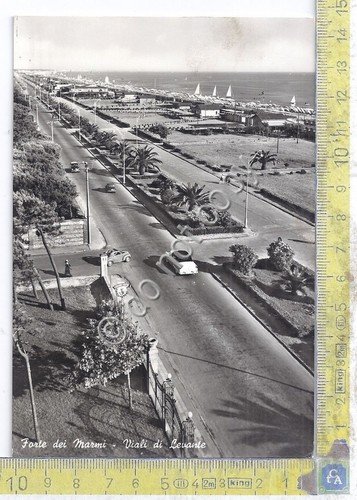 Cartolina - Postcard - Forte dei Marmi - Viali di … | Immagine principale