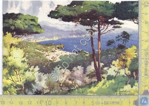 Cartolina - Postcard - G.Frattini - Portofino Vetta - Vista … | Immagine principale