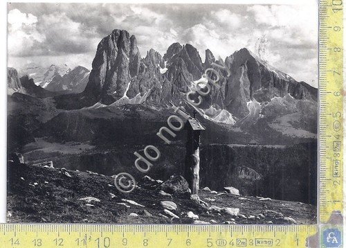 Cartolina - Postcard - Gardena - Gruppo del Sassolungo - …