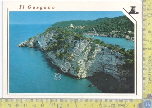 Cartolina - Postcard - Gargano - Panorama - anni '70