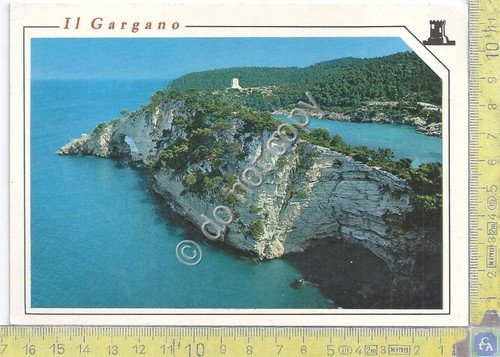 Cartolina - Postcard - Gargano - Panorama - anni '70