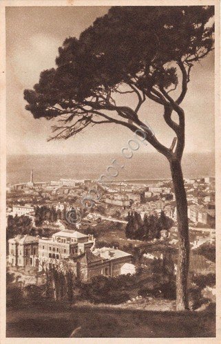 Cartolina - Postcard - Genova - Panorama dal Righi - …