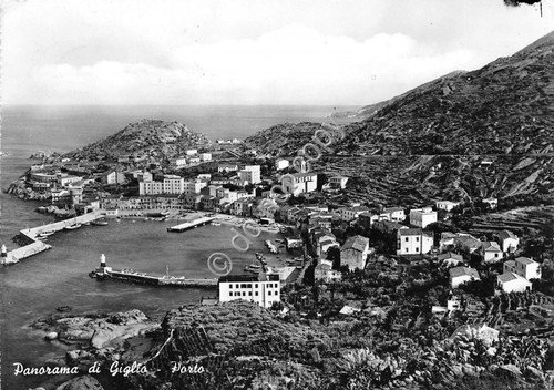 Cartolina - Postcard - Giglio - Panorama dall'alto - 1962