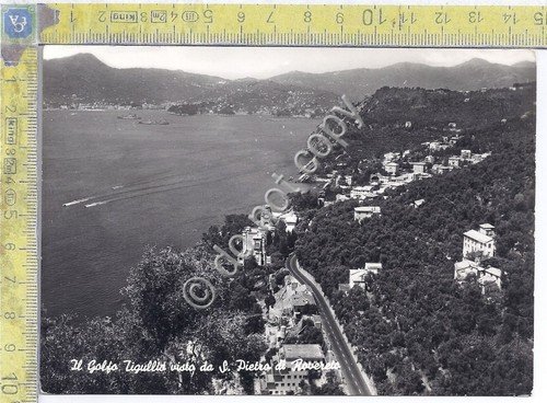 Cartolina - Postcard - Golfo Tigullio - da San Pietro …