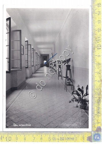 Cartolina - Postcard - Gorla Minore - Collegio Gonzaga - …