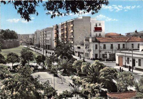 Cartolina - Postcard - Grosseto - Viale Ximenes - 1960 …