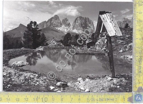 Cartolina - Postcard - Gruppo del Sassolungo - Timbro Rifugio …