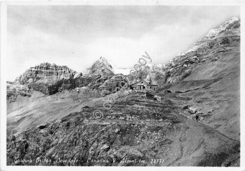 Cartolina - Postcard - Gruppo Ortler - Capanna V Alpini …
