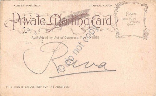 Cartolina - Postcard - Honolulu Native women 1904